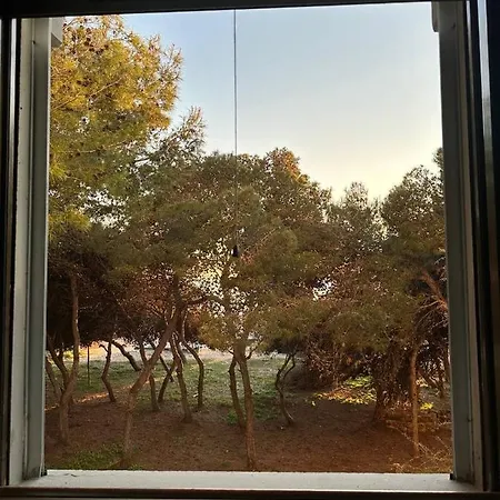 公寓 A Casa Di Stefania