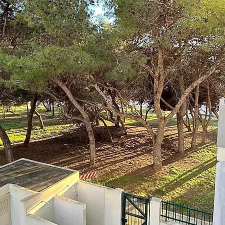Appartement A Casa Di Stefania